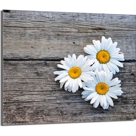 Placa protectora de vidrio para la estufa 60x52 Daisy (1/5)