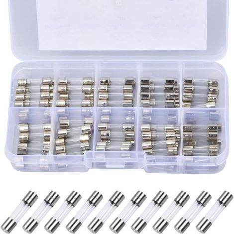 100 Pcs Fusible Verre à Fusion Rapide, 5 x 20mm 250V Assortiment de Fusibles Verre 0.2A, 0.5A, 1A, 2A, 3A, 5A, 8A, 10A, 15A, 20A, Fusibles Verre Coup Rapide pour Maison Électroménager
