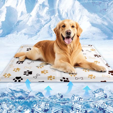 Tapis rafraîchissant pour chiens et chats, 90 x 60 cm. Imperméable et facile à nettoyer. Convient aux chiens de toutes tailles. (1/5)