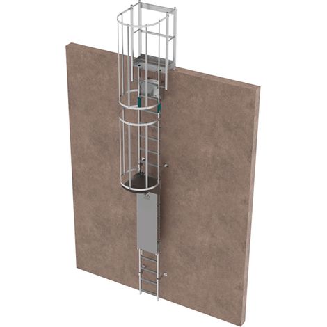 Echelle à crinoline avec porte - Hauteur à franchir de 11,06 à 11,9m - CRINO-SF/005-7872