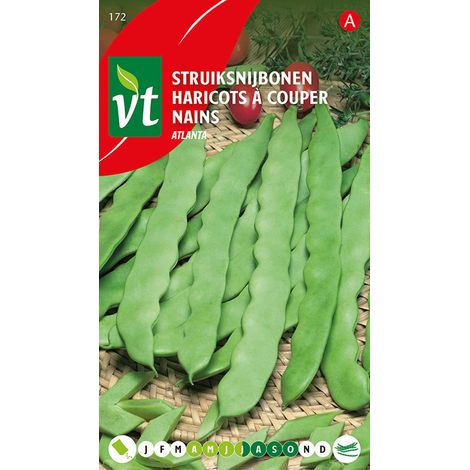 Haricots à Couper Nains Atlanta - Ca. 50 gr (Livraison Gratuite)