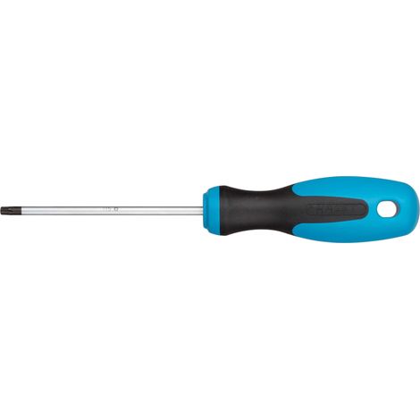 Tournevis 810-T15