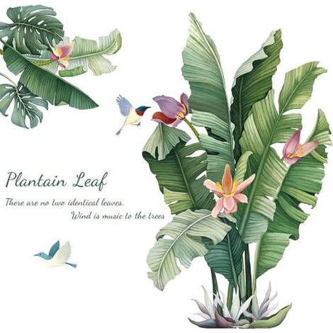 Stickers muraux, stickers avec des plantes vertes, motifs de plantes tropicales, peinture décorative de feuilles de bananier vertes sur fond frais. (1/5)