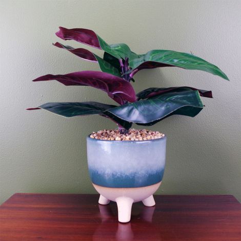 35cm Artificial Ficus Plant Potted in Teal Blue Green Ceramic Planter (1/3)