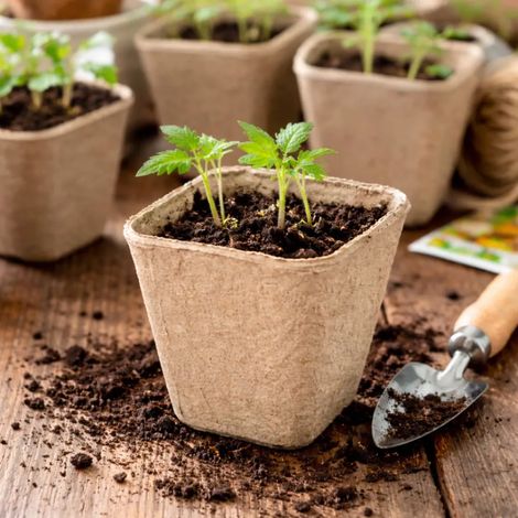 24 Pots Biodégradables Carrés 8 cm pour Semis (1/5)