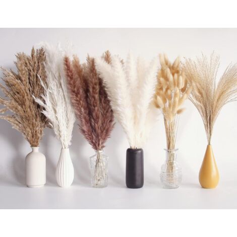 Pr Ersandy – Bouquet d'herbes de pampa séchées 110 pièces – Fleurs de queues de lapin, herbes brunes et blanches – Décoration boho pour mariage et maison - 110pc (1/5)