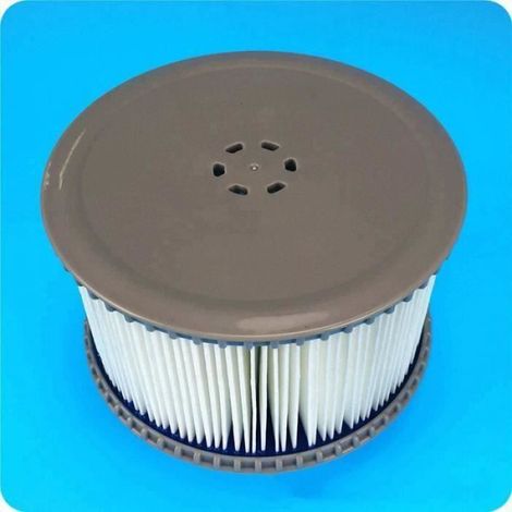Filtre Pour Spa - Cartouche De Remplacement - Compatible Avec Spas Gonflables Camaro Super Camaro Alpine Silver Cloud Bliss - Ø11 5 X 8 6 Cm - 2 Pièces (1/4)