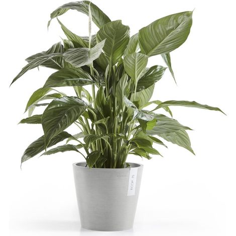 VASO AMSTERDAM 20x17,5CM GRIGIO CHIARO (1/5)