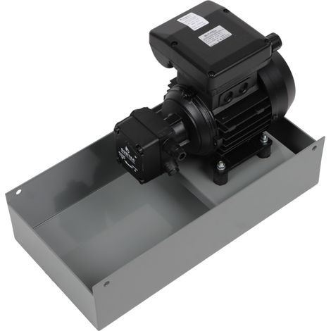 Pumpenaggregat FTUAEV97C 7304 2M 144 l/h bei 3bar, 220-240V, 50-60Hz - 601621 von Weishaupt