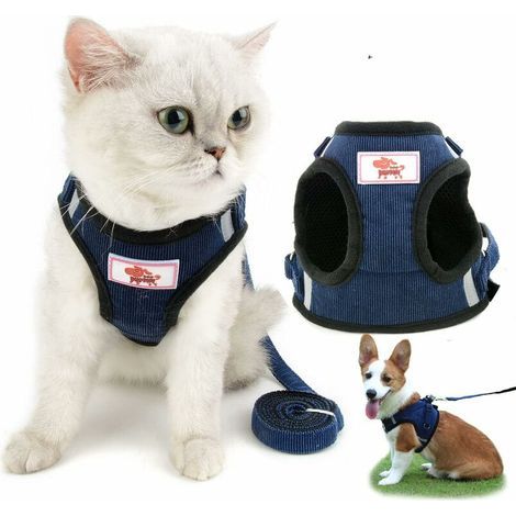 Katzengeschirr und Leine, unzerbrechlich, verstellbar, reflektierend, weiches Netzgewebe, gepolstert, für Katzen, Kätzchen, Welpen, kleine Hunde, (blau) (1/5)