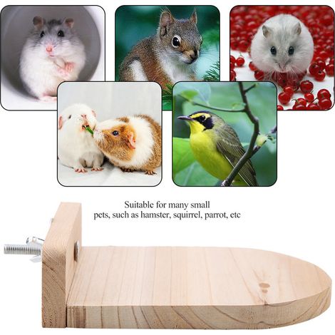 Jeu de tremplin pour hamster, perroquet et écureuil, pont en bois avec tremplin. (1/5)