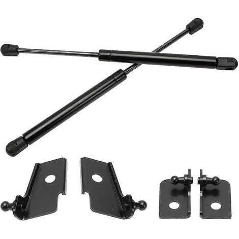 Ersatz-Motorhaubenlifter mit Gasfeder für NQ5 2022-2023 (1/4)