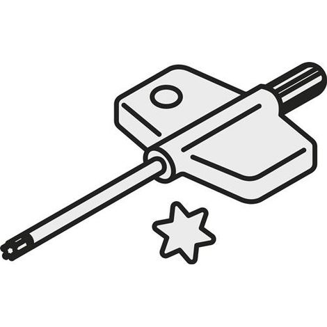 Torx-Schlüssel ISO FLAG T15P/3,5 Bruttogewicht 11g PRAMET (1/2)