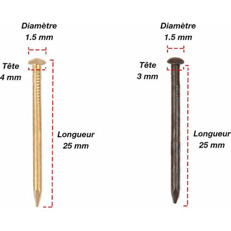 Clous décoratifs droits en laiton couleur laiton, 1,5 × 25 mm, 50 pièces 1.5 25mm 50 2,5 × 2,5 × 0,15 cm 20 g – Livraison gratuite