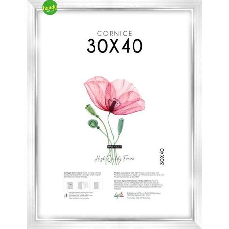 Cornice Lupia WHite Silver 30x40cm