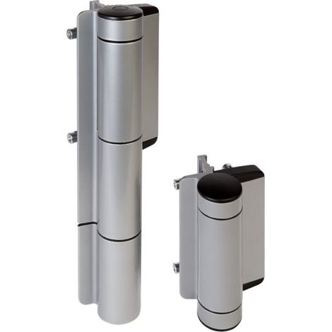 Locinox – Charnière avec ferme-portail hydraulique 180° pour portail lourd – Amortissement insensible aux températures – Installation Quick-Fix