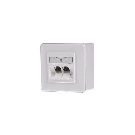 BTR NETCOM Anschlussdose, Cat.6A 2xRJ45,AP,rws TN E-DATmod-2AP-rws