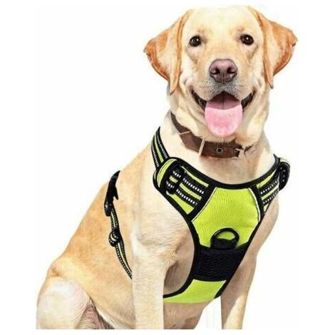 Ahlsen Harnais anti-traction pour chien respirant et facile à porter avec bande réfléchissante Taille réglable (Vert, XXL) (1/4)