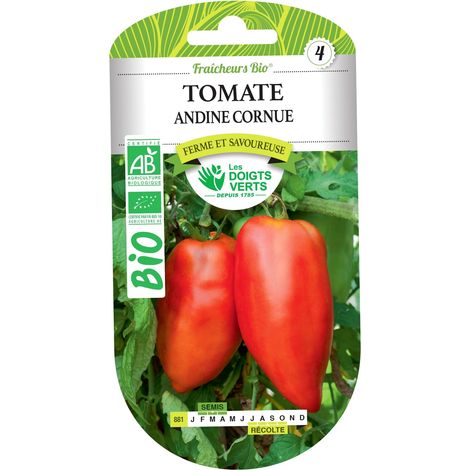 Graines tomate andine cornue BIO Les Doigts Verts (1/2)
