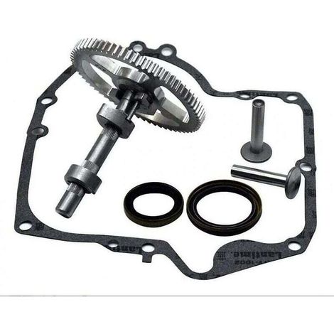 Arbres à cames Briggs & Stratton 793880 793583 792681 791942 795102 Kit de remplacement de came (1/4)