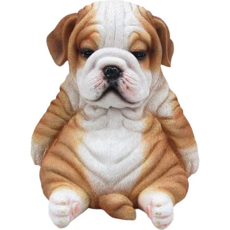 Dekofigur Bulldogge sitzend 17 x 16 x 16 cm braun weiß Dekofigur