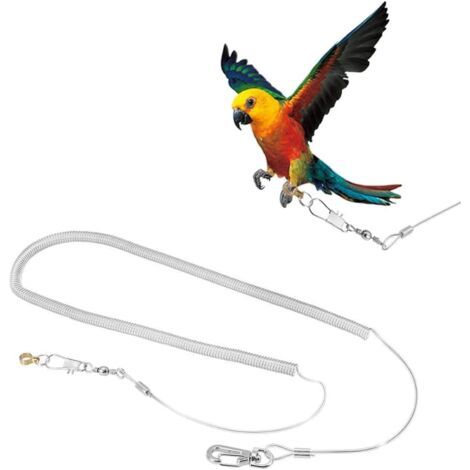 6M Oiseau Perroquet Volant Corde Réglable Anti-Morsure Volant Corde D'entraînement Laisse Oiseaux Harnais Corde Pet Traction Extérieure pour Cacatoès Perruche Calopsitte (Foot Ring Dia. 4.5mm)