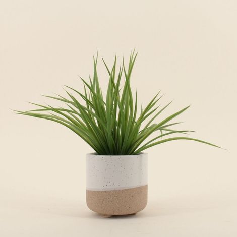 Plante artificielle pot céramique bicolore 26cm