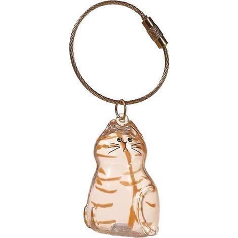 Boîte de rangement transparente pour poils d'animaux, contenant souvenir pour poils de chat, décoration à faire soi-même, souvenir pour les amoureux des animaux, C (1/5)