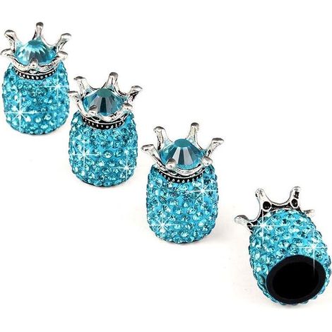 Accessoires anti-poussière automobile (bleu lac)- (1/2)