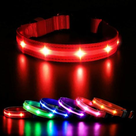Green Mobility-Collier Lumineux pour Chien, D Collier Chien avec Etanche et Rechargeable par USB, Collier de Sécurité Clignotant Haute Visibilité pour Petits/Moyens/Gros Chiens (Rouge, M) (1/5)