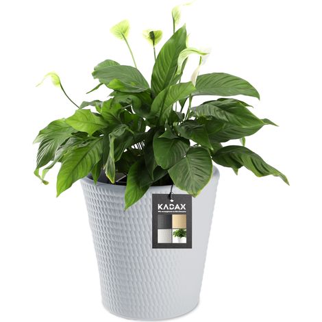 KADAX Blumentopf aus Kunststoff, Pflanzkübel, 30 cm, Grau