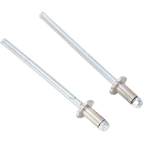 2 Rivets Rosette Inoxydable pour Plaques Portière Ford AMC VIN, Lot de 2 (1/5)
