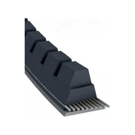 Courroie tondeuse XPZ900 trapézoïdale crantée  9,7 x 912 mm (1/5)