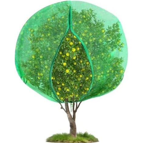Filet de Protection pour Arbres Fruitiers 1,8mx1,8m Anti Insectes, Anti Oiseaux, Sac de Protection de Fruit Maille Fine avec Fermeture Éclair et Cordon de Serrage pour Jardin et Verger (1/5)