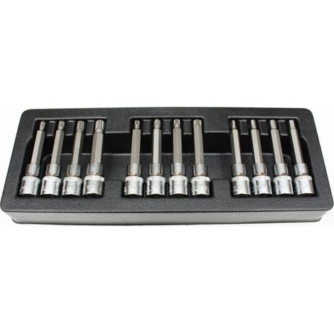 Bit Set, Stecknuss Set, 12-teilig, H5-H8, T40-T55, M6-M12, S2 Stahl, Industriequalität