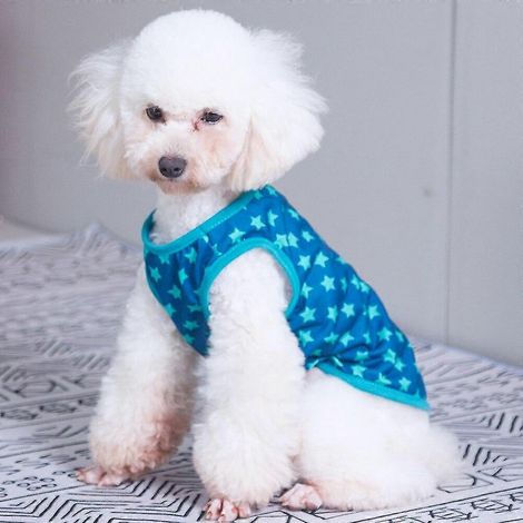 Camiseta de verano con estampado adorable para mascotas, ropa para cachorros, chaleco para gatos, camiseta de algodón, ropa para carlinos, disfraces para perros pequeños 3 (1/4)