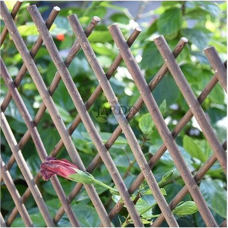Suinga – Treillis en osier extensible 50 x 150 cm – Résistant aux intempéries – Pour soutenir plantes grimpantes – Décoration jardin