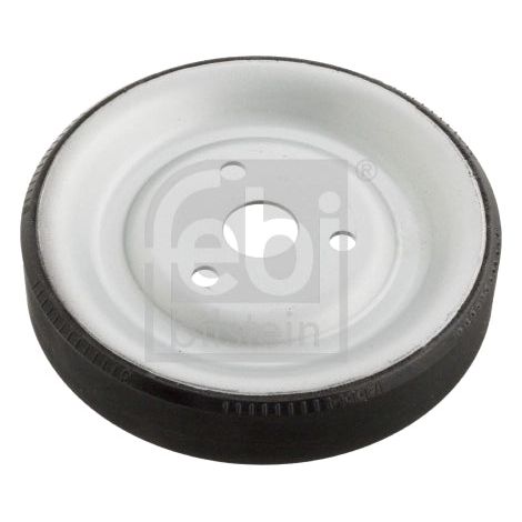FEBI BILSTEIN 102466 Poulie, pompe à eau - 003648867 - 003648867