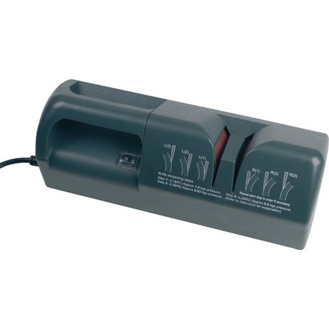 AFFUTEUSE ELECTRIQUE A BANDES ABRASIVES - L2G