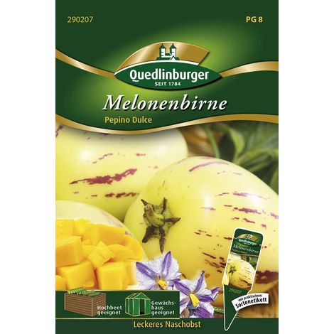 Quedlinburger Melonenbirne Pepino Dulce - Gemüsesamen (1/2)