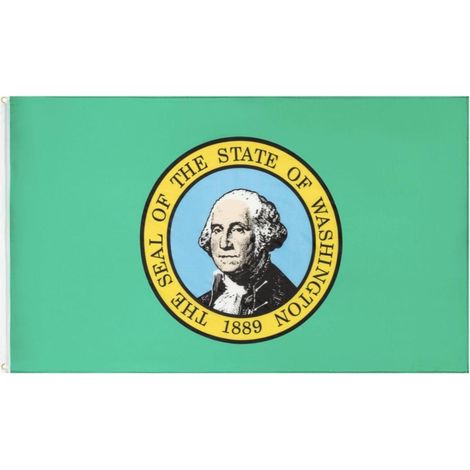 Bandera Washington Edición Limitada 90 x 150cm - SpazioLuzio