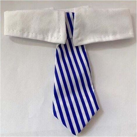 Cravate pour animal de compagnie luxueusement douce et réglable - Collier parfait pour toutes les occasions L (Bleu) (1/3)