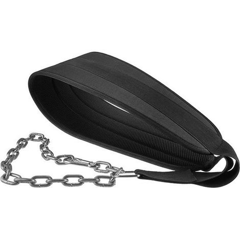 Ceinture de musculation pour tractions du haut du corps, équipement de fitness professionnel pour salle de musculation avec haltères et disques.