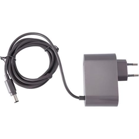 Chargeur Aspirateur - 1 Pièce - ABS Gris - Compatible Dyson DC30 à DC57 - Prise UE (1/4)