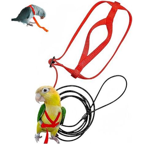 Papageiengeschirr Geschirr und Leine für Papageien Trainingsleine und Führgeschirr für Papageien Verstellbares Vogelgeschirr und Leine Rot für (1/5)