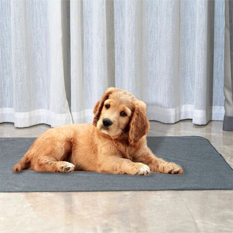 Tapis Educateur pour Chien Chiot Absorbant Rapide Alese pour Chien Lavable, Tapis Absorbant Chiens Anti-Fuite et Antiderapant (1/5)