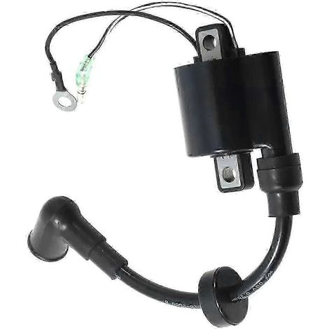 Bobine d'allumage 6E0-85570-00 pour pièces de moteur hors-bord Yamaha 4 et 5 CV (1/4)