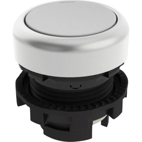 Pizzato Elettrica E21PU2R2290 E21PU2R2290 Bouton-poussoir blanc 1 pc(s) (1/3)