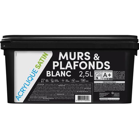 Peinture Tdp Mur & Plafond Acrylique Satinée Séchage Rapide, Finition Satinée Durable - Générique