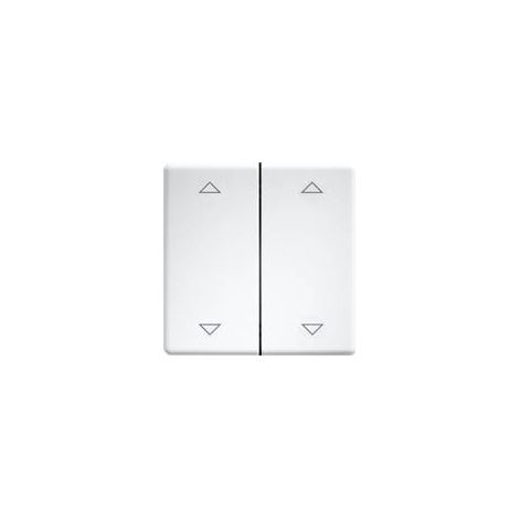DW-FT55-rw+2P Eltako Interrupteur à bascule double X249192